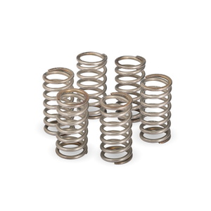 Ducati Dry Clutch Spring Set