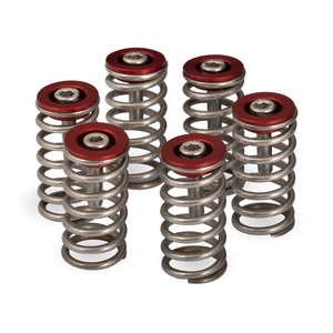 Ducati Dry Clutch Spring Collar Set